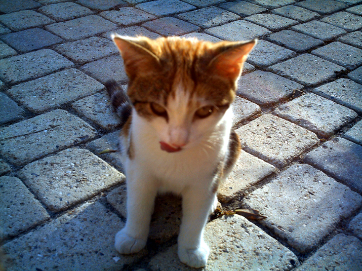 Caramel 09-04 004.jpg